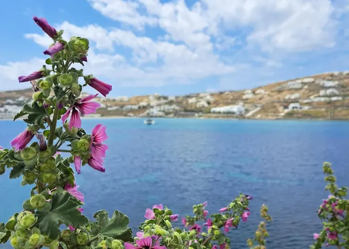 Tatil Evi Kalypso Pool At Ornos (Mykonos)